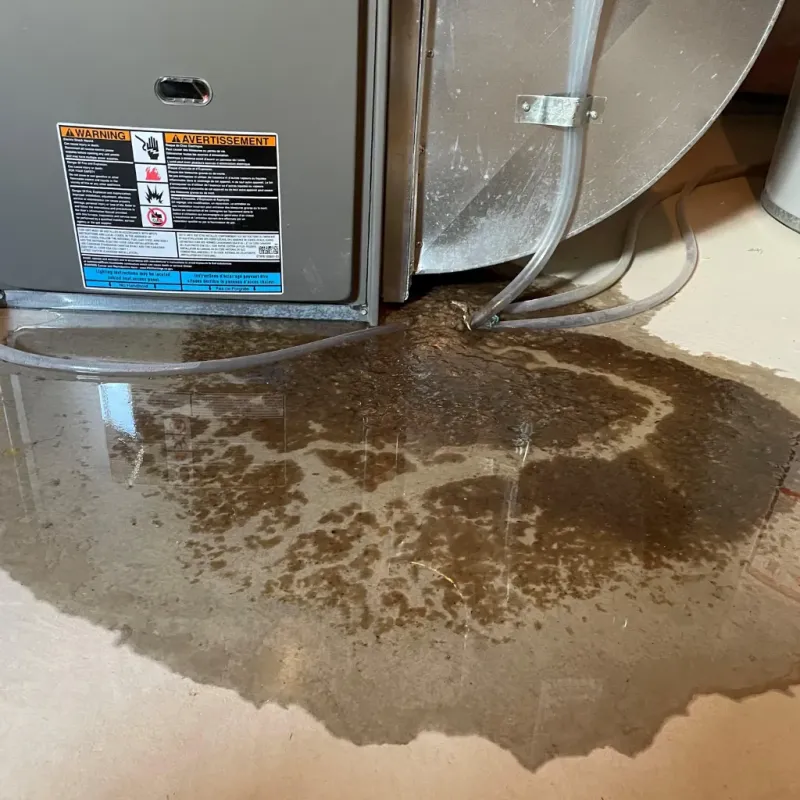 Appliance Leak Cleanup in Calhoun County, GA